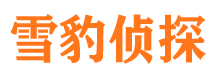 泾县市场调查